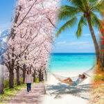 Image composite de quatre scènes de vacances: ski en montagne, promenade sous les cerisiers en fleurs, détente sur une plage tropicale, randonnée automnale.