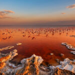 Vibbo occasion : l’astuce pour s’équiper en Espagne Lac Natron, Tanzanie: Un coucher de soleil rougeoyant illumine des centaines de flamants roses dans des eaux miroitantes, bordées de cristaux de sel.
