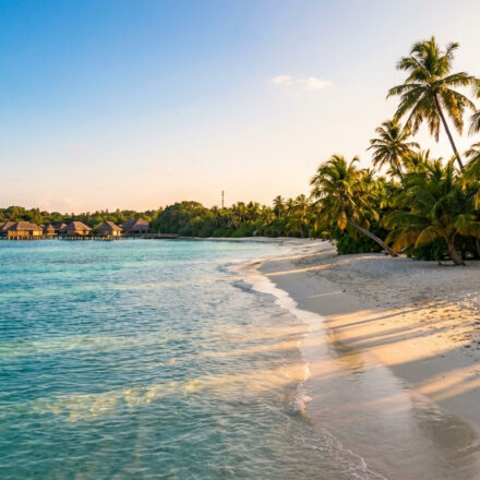 Trouver des destinations paradisiaques pour s’évader Plage de sable blanc bordée de palmiers et de mer turquoise avec des bungalows sur pilotis à l'horizon sous un ciel clair.