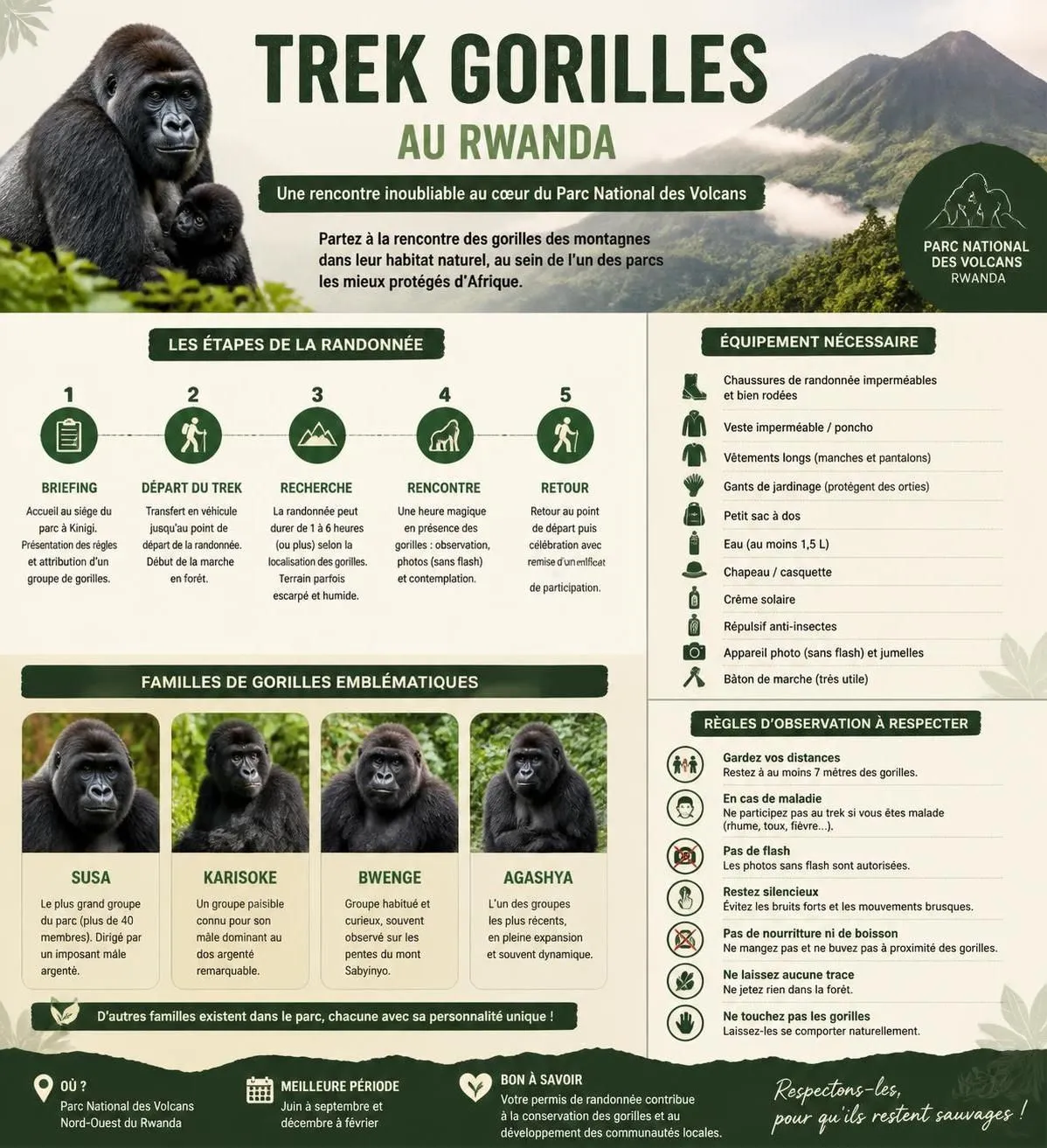 découvrez le rwanda, terre des gorilles des montagnes majestueux, de lacs enchanteurs et symbole vibrant de la renaissance africaine.