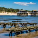 découvrez le bassin d'arcachon, ses huîtres fraîches, les célèbres cabanes tchanquées et son magnifique littoral atlantique pour une escapade authentique et naturelle.