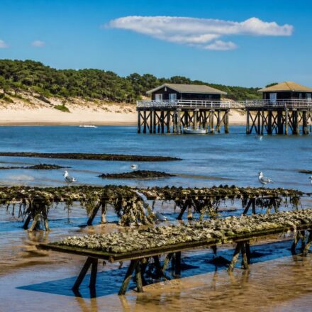 découvrez le bassin d'arcachon, ses huîtres fraîches, les célèbres cabanes tchanquées et son magnifique littoral atlantique pour une escapade authentique et naturelle.