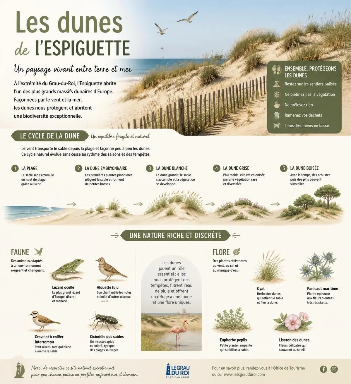découvrez le camping de l'espiguette, situé sur la grande plage sauvage du gard. profitez d'un cadre naturel préservé, d'activités variées et d'hébergements confortables pour des vacances inoubliables.