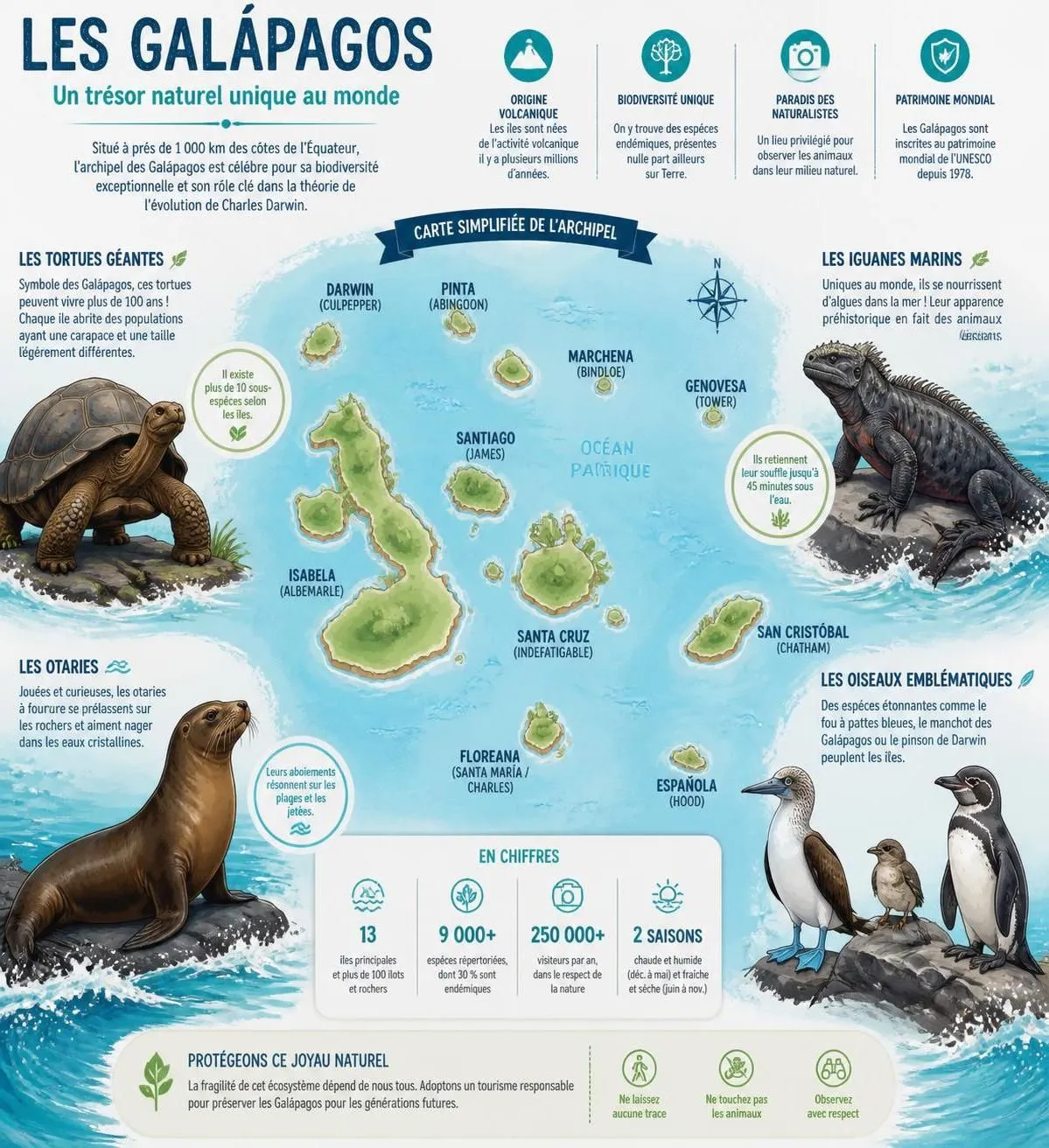 découvrez l'équateur, un pays fascinant entre deux océans, alliant les îles galápagos uniques, la richesse historique de quito coloniale et des paysages aux contrastes saisissants.